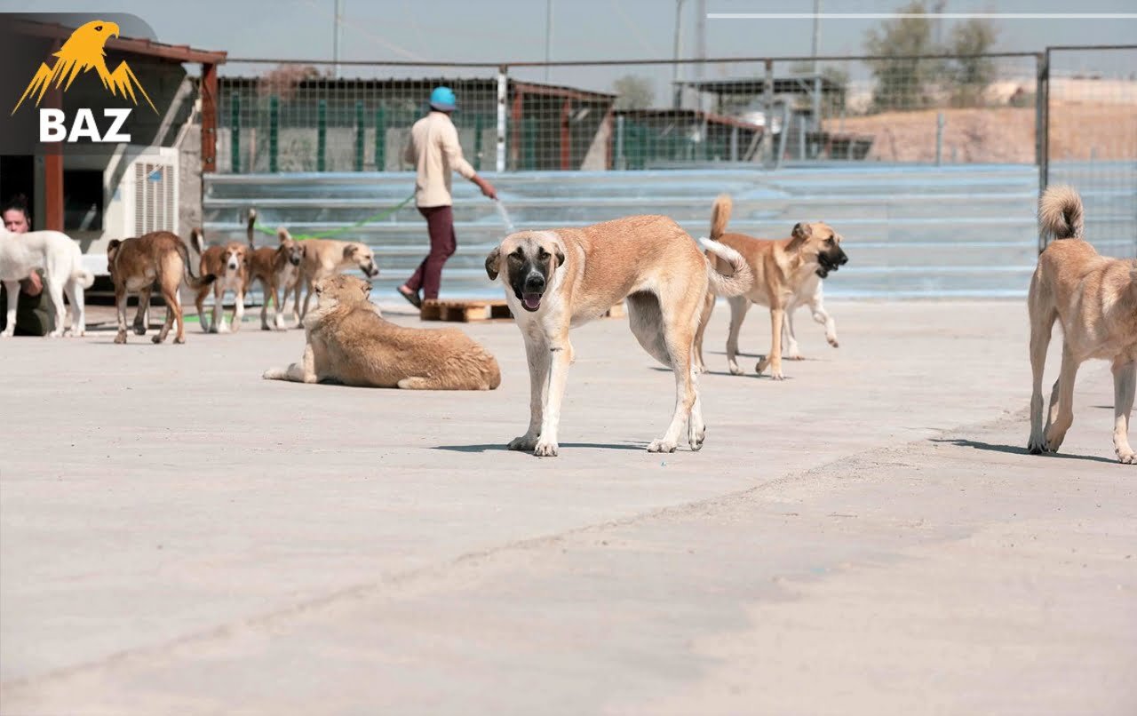 ڕوونکردنەوەیەک لە بارەی شێڵتەری بێلانەی شاری هەولێرەوە بڵاوکرایەوە